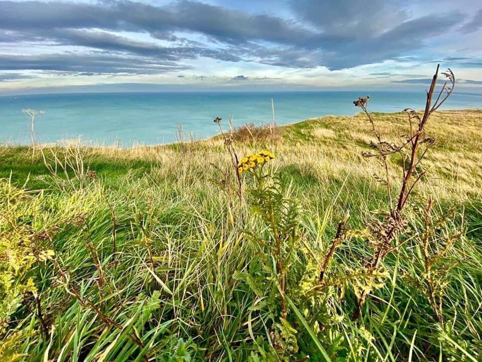 Plage A 50M Appartement Reves Ensoleilles Villa Les Bains De Mers Eksteriør bilde