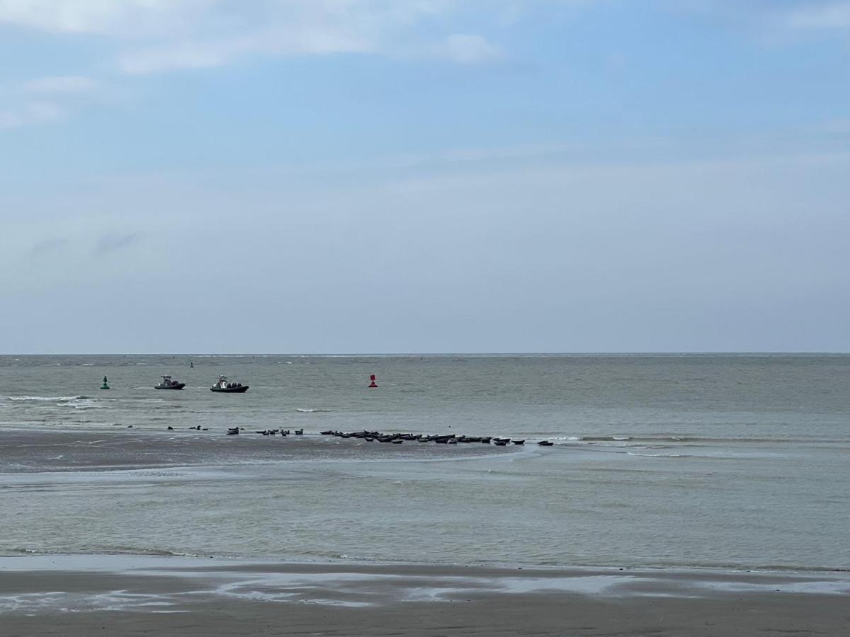 Plage A 50M Appartement Reves Ensoleilles Villa Les Bains De Mers Eksteriør bilde