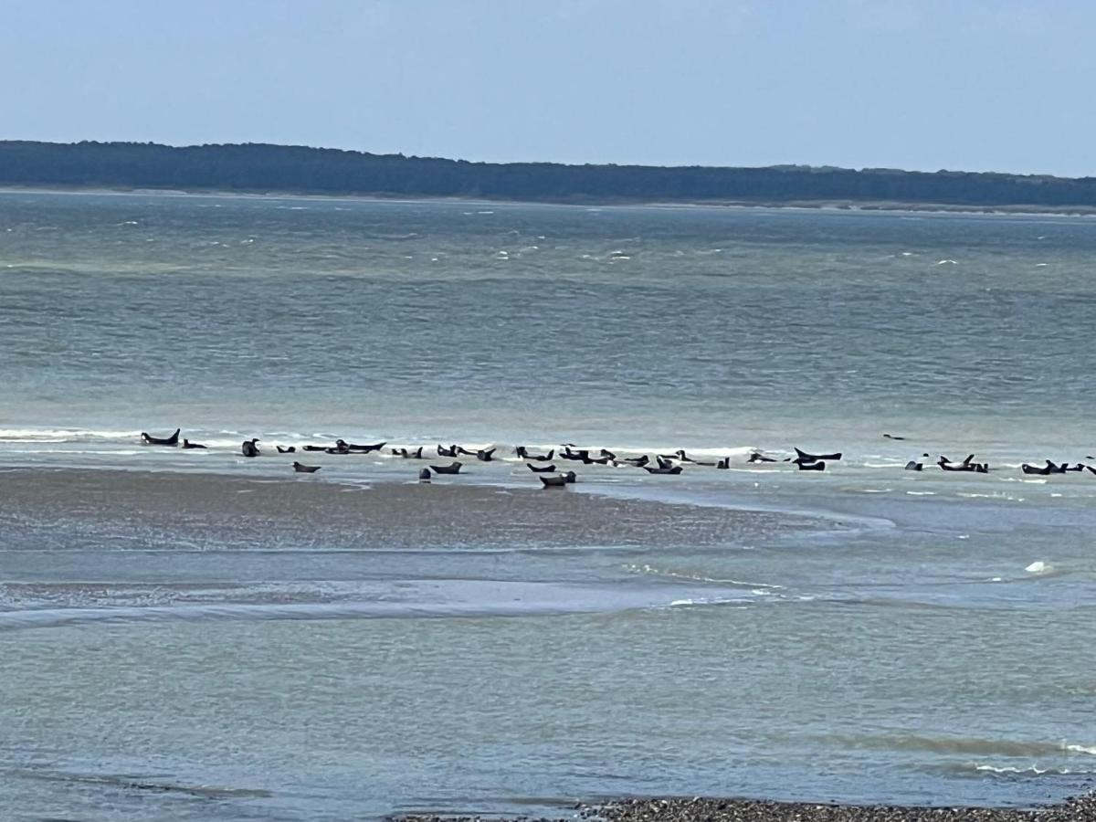 Plage A 50M Appartement Reves Ensoleilles Villa Les Bains De Mers Eksteriør bilde
